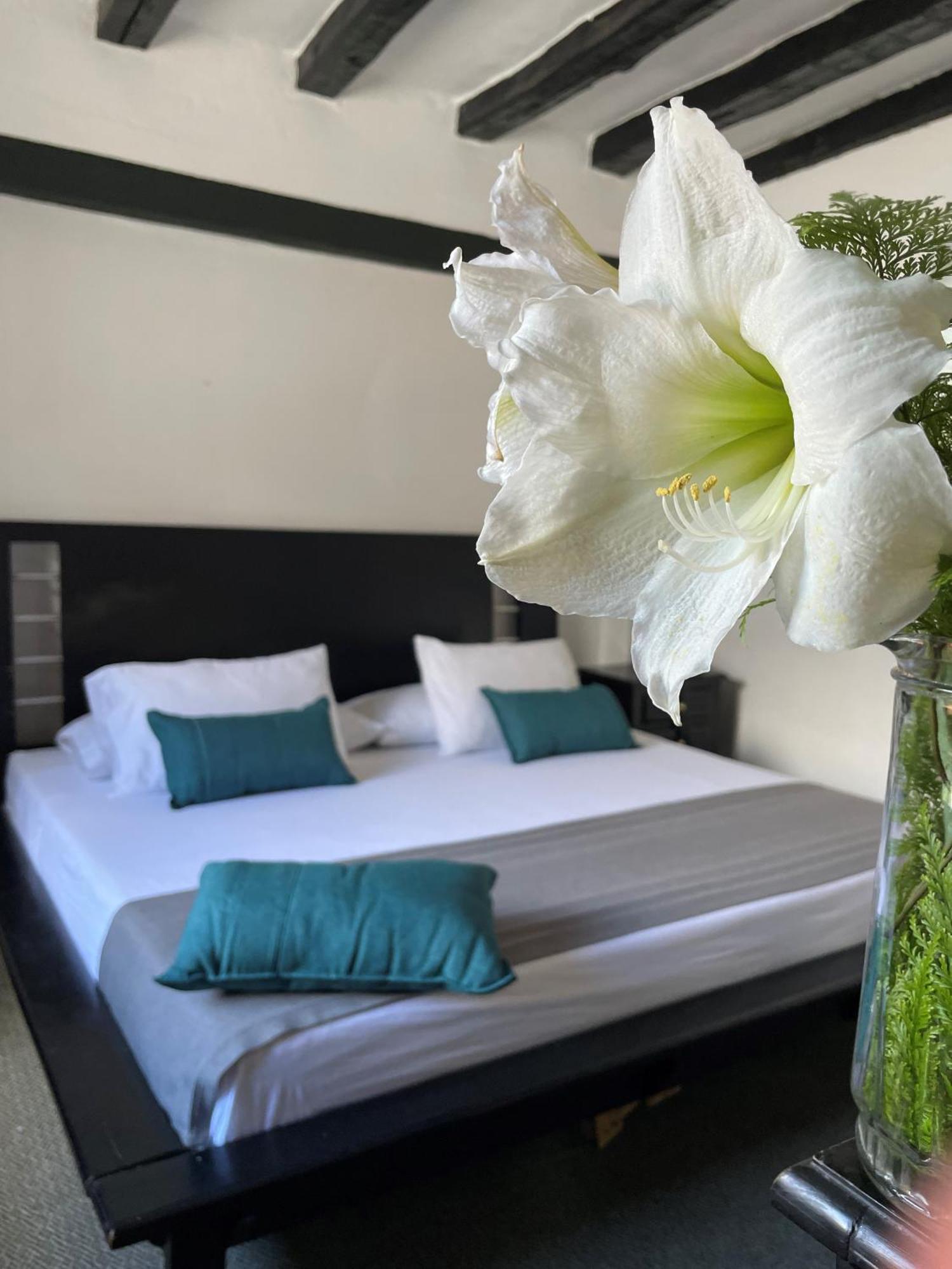 Hotel Premium Real Medellín Eksteriør bilde
